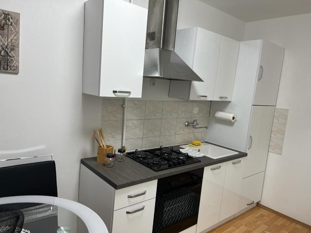 Apartman Lara ザグレブ エクステリア 写真